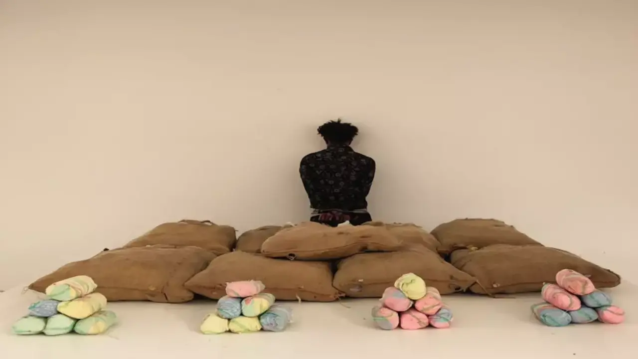 ضربة أمنية في عسير.. إحباط ترويج 180 كيلو من المواد المخدرة بالسعودية